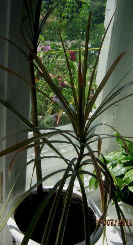 Название: IMG_1157.jpg
Просмотров: 1477
Размер: 61.3 Кб