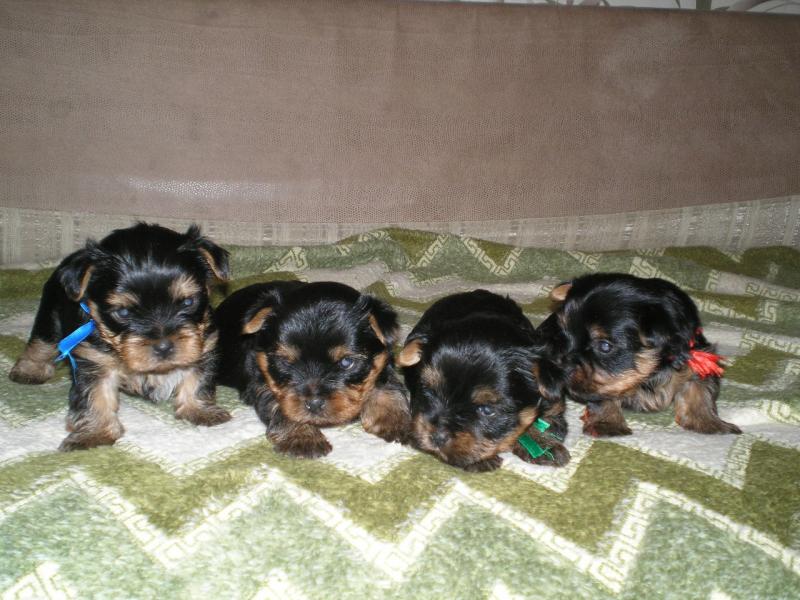 Название: j1qre9Y1FC0.jpg
Просмотров: 1586
Размер: 76.7 Кб