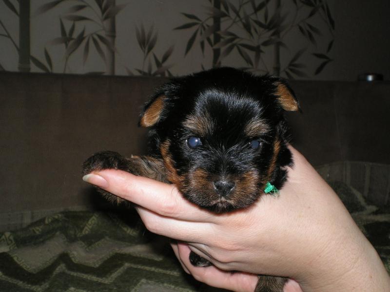 Название: gBHSLVJr0us.jpg
Просмотров: 1292
Размер: 49.4 Кб