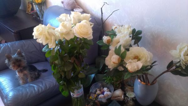 Название: IMAG0505.jpg
Просмотров: 1087
Размер: 28.2 Кб