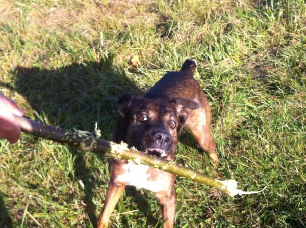 Название: image-1381161132285-V.jpg
Просмотров: 952
Размер: 70.6 Кб