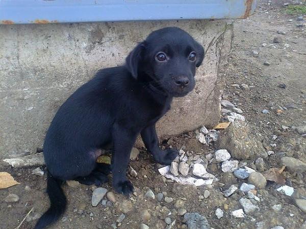 Название: getImage (24).jpg
Просмотров: 722
Размер: 62.4 Кб