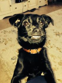 Название: image (6).jpg
Просмотров: 761
Размер: 12.4 Кб