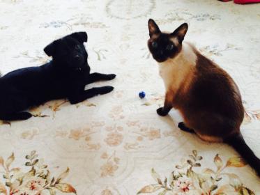 Название: image (7).jpg
Просмотров: 731
Размер: 16.5 Кб