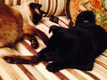 Название: image (8).jpg
Просмотров: 597
Размер: 19.8 Кб