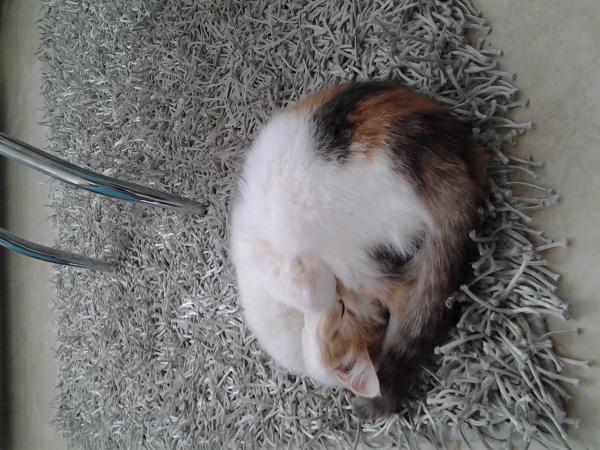 Название: 20140310_174656.jpg
Просмотров: 658
Размер: 56.0 Кб