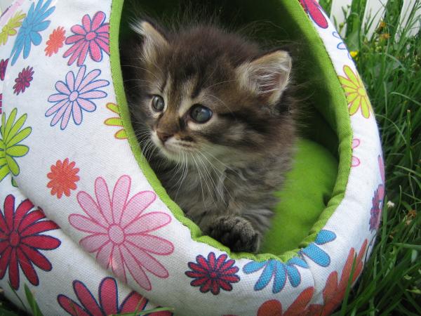 Название: IMG_0980.jpg
Просмотров: 936
Размер: 54.5 Кб