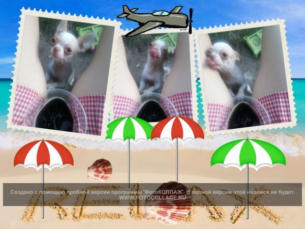 Название: drunk Zhuzha.jpg
Просмотров: 791
Размер: 47.1 Кб