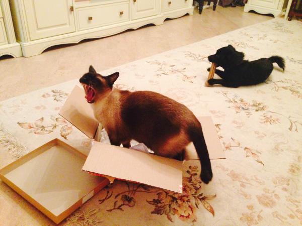 Название: фото 2 (2).jpg
Просмотров: 1043
Размер: 39.5 Кб