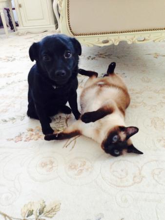 Название: фото 3 (2).jpg
Просмотров: 926
Размер: 20.1 Кб