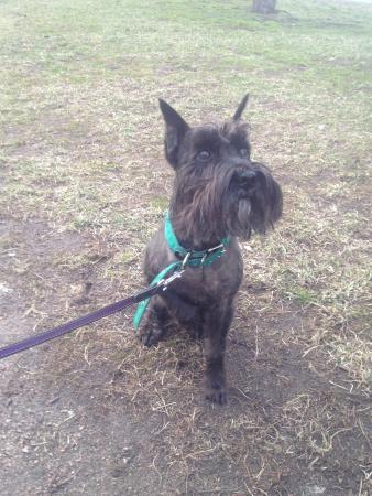 Название: 2014-04-15 20-49-35.jpg
Просмотров: 702
Размер: 37.8 Кб