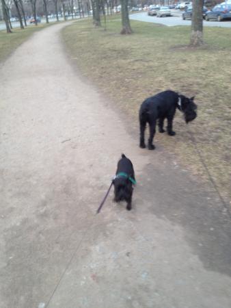 Название: 2014-04-17 21-09-32.jpg
Просмотров: 706
Размер: 19.8 Кб