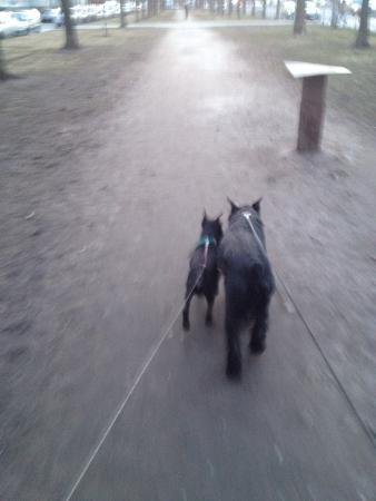 Название: 2014-04-17 21-27-43.jpg
Просмотров: 717
Размер: 16.3 Кб