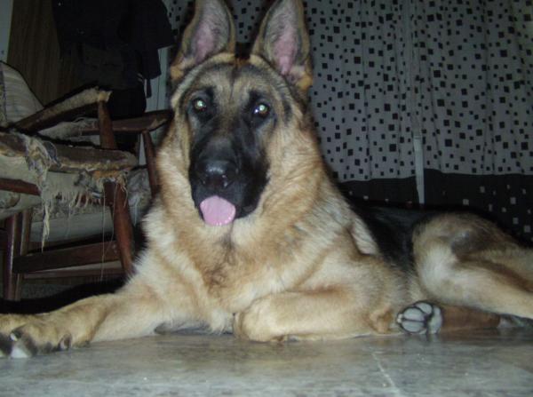 Название: IMG_0168.jpg
Просмотров: 605
Размер: 37.4 Кб