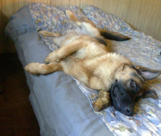 Название: beck en cama1.jpg
Просмотров: 668
Размер: 33.7 Кб