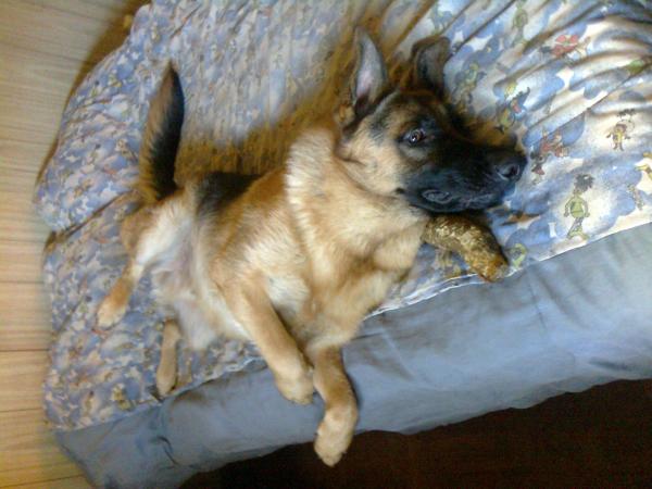 Название: beck en cama2.jpg
Просмотров: 615
Размер: 40.8 Кб