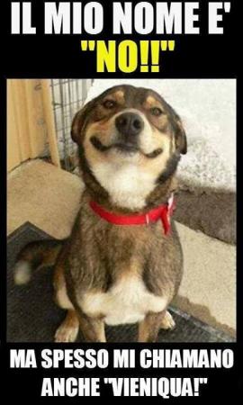 Название: Меня зовут нет.jpg
Просмотров: 632
Размер: 24.8 Кб