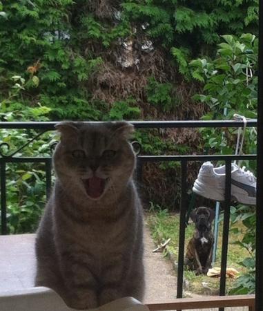 Название: image.jpg
Просмотров: 764
Размер: 35.6 Кб