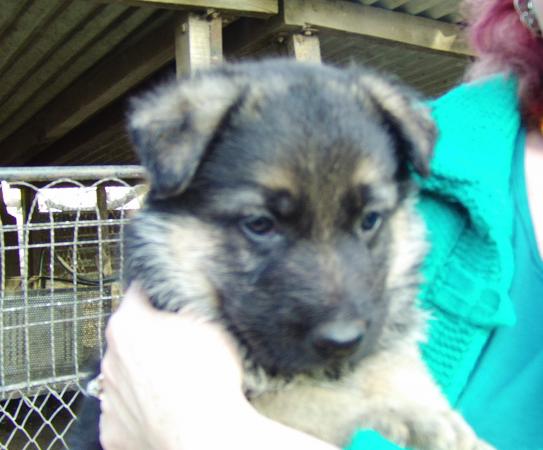 Название: beck con lena.jpg
Просмотров: 742
Размер: 33.5 Кб