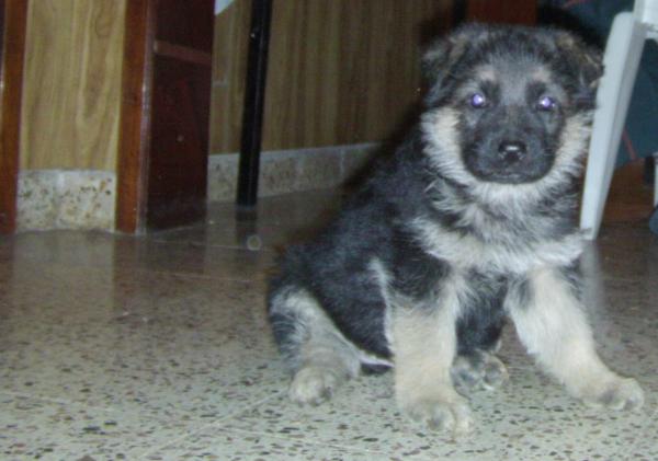 Название: beck malysh.jpg
Просмотров: 597
Размер: 32.7 Кб