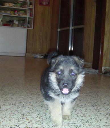 Название: beck y.jpg
Просмотров: 692
Размер: 26.2 Кб