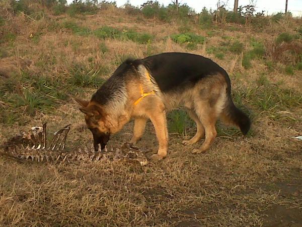 Название: IMG00585-20140614-1725.jpg
Просмотров: 564
Размер: 68.2 Кб