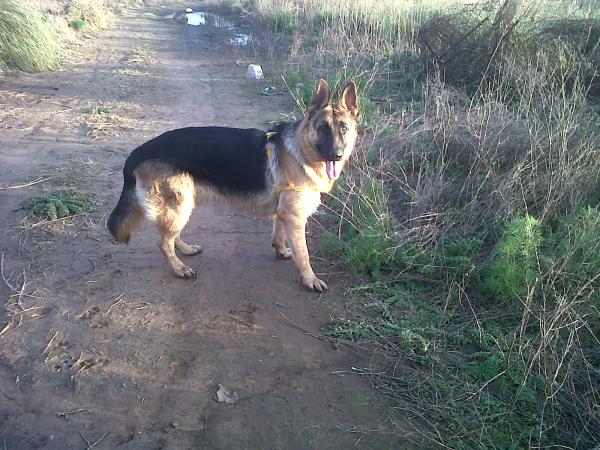 Название: IMG00607-20140614-1731.jpg
Просмотров: 559
Размер: 69.9 Кб