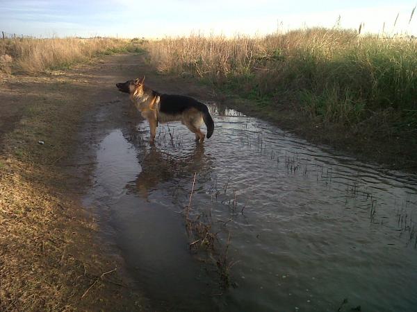 Название: IMG00608-20140614-1731.jpg
Просмотров: 561
Размер: 46.0 Кб