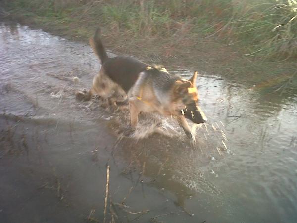 Название: IMG00609-20140614-1731.jpg
Просмотров: 556
Размер: 35.9 Кб