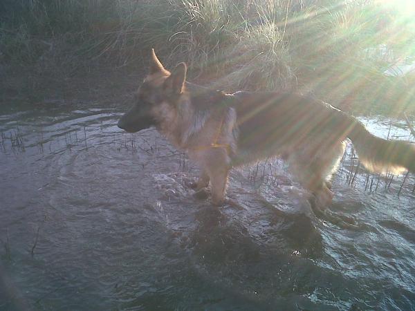 Название: IMG00610-20140614-1731.jpg
Просмотров: 733
Размер: 40.8 Кб