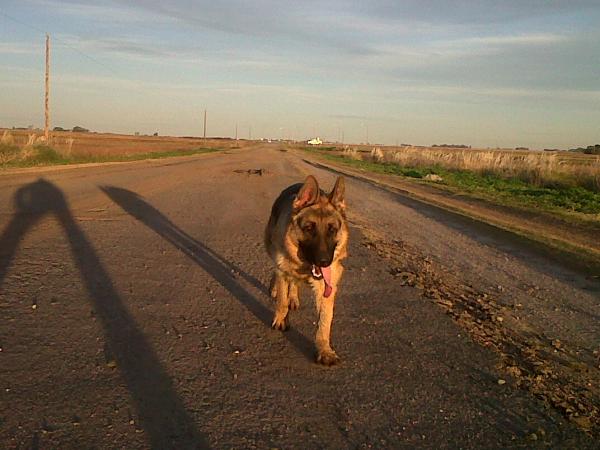 Название: IMG00620-20140614-1743.jpg
Просмотров: 635
Размер: 41.4 Кб