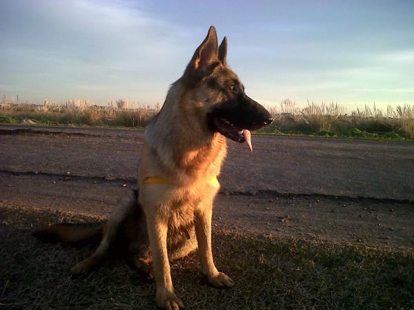 Название: IMG00628-20140614-1747.jpg
Просмотров: 641
Размер: 40.6 Кб