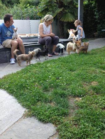 Название: IMG_5612.jpg
Просмотров: 426
Размер: 41.9 Кб