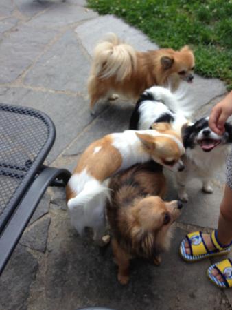 Название: IMG_5600.jpg
Просмотров: 595
Размер: 24.0 Кб