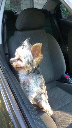 Название: 10475458_820468881320887_4382603227036850228_n.jpg
Просмотров: 501
Размер: 20.3 Кб