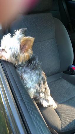 Название: 10600478_820468834654225_4837669529138496571_n.jpg
Просмотров: 521
Размер: 19.7 Кб