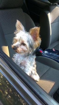 Название: 10543617_820468754654233_7100742551119316033_n.jpg
Просмотров: 490
Размер: 22.0 Кб