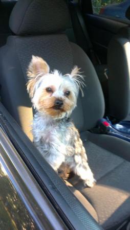 Название: 10559676_820468777987564_6150839490104189944_n.jpg
Просмотров: 572
Размер: 18.3 Кб