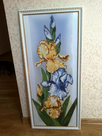 Название: image.jpg
Просмотров: 681
Размер: 26.5 Кб