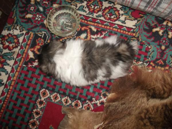 Название: Изображение 046.jpg
Просмотров: 390
Размер: 51.8 Кб