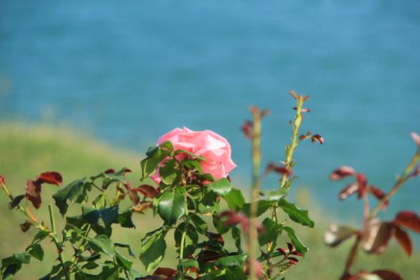 Название: IMG_3393.jpg
Просмотров: 2551
Размер: 25.9 Кб