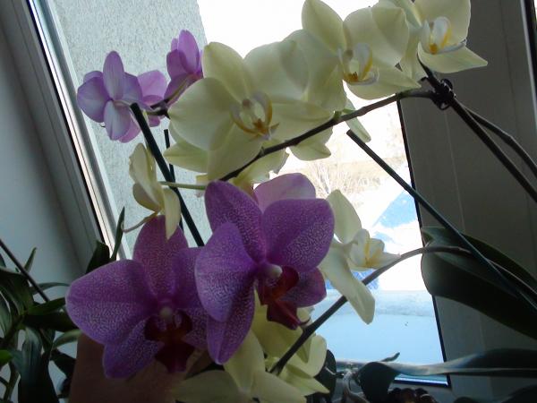 Название: 007.jpg
Просмотров: 735
Размер: 38.7 Кб