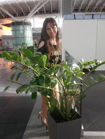 Название: Изображение 034.jpg
Просмотров: 565
Размер: 28.2 Кб