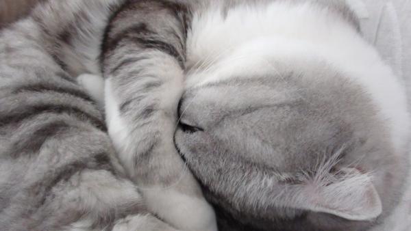 Название: 025.jpg
Просмотров: 529
Размер: 25.3 Кб