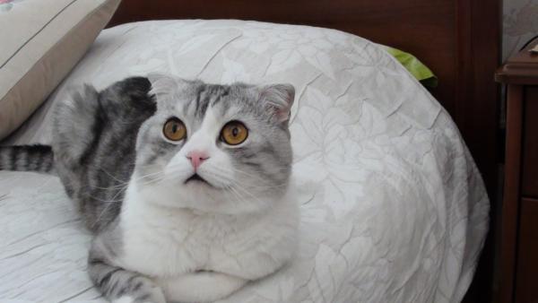 Название: 061.jpg
Просмотров: 558
Размер: 22.5 Кб