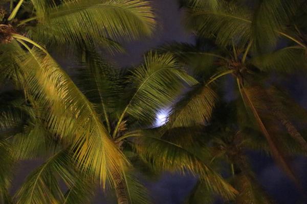 Название: image.jpg
Просмотров: 16318
Размер: 35.8 Кб