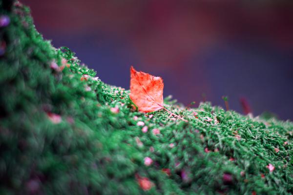 Название: DSC_3390.jpg
Просмотров: 1072
Размер: 29.8 Кб