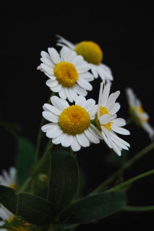 Название: Изображение 051.jpg
Просмотров: 1176
Размер: 13.0 Кб