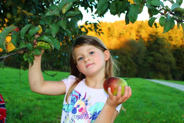 Название: image.jpg
Просмотров: 824
Размер: 42.7 Кб