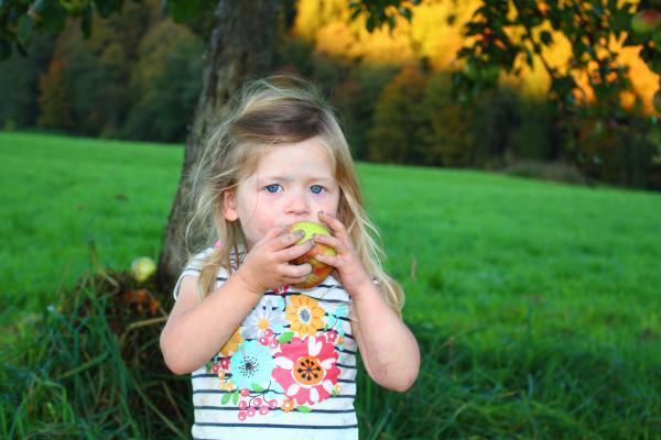 Название: image.jpg
Просмотров: 834
Размер: 35.5 Кб